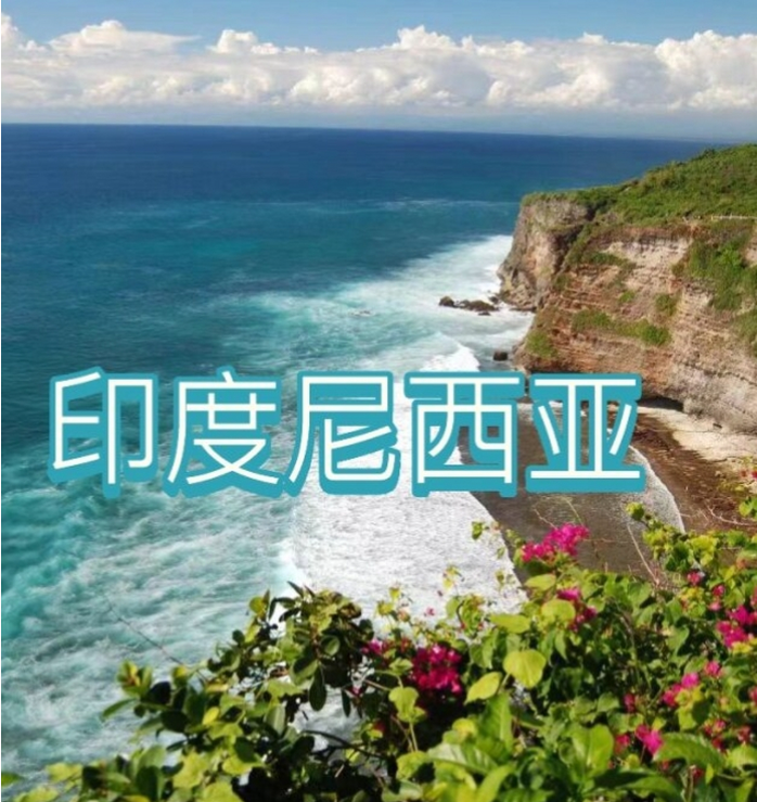 国国际电商(印尼)产业博览会pg电子中国网站2025中(图3) 国国际电商(印尼)产业博览会pg电子中国网站2025中(图3)